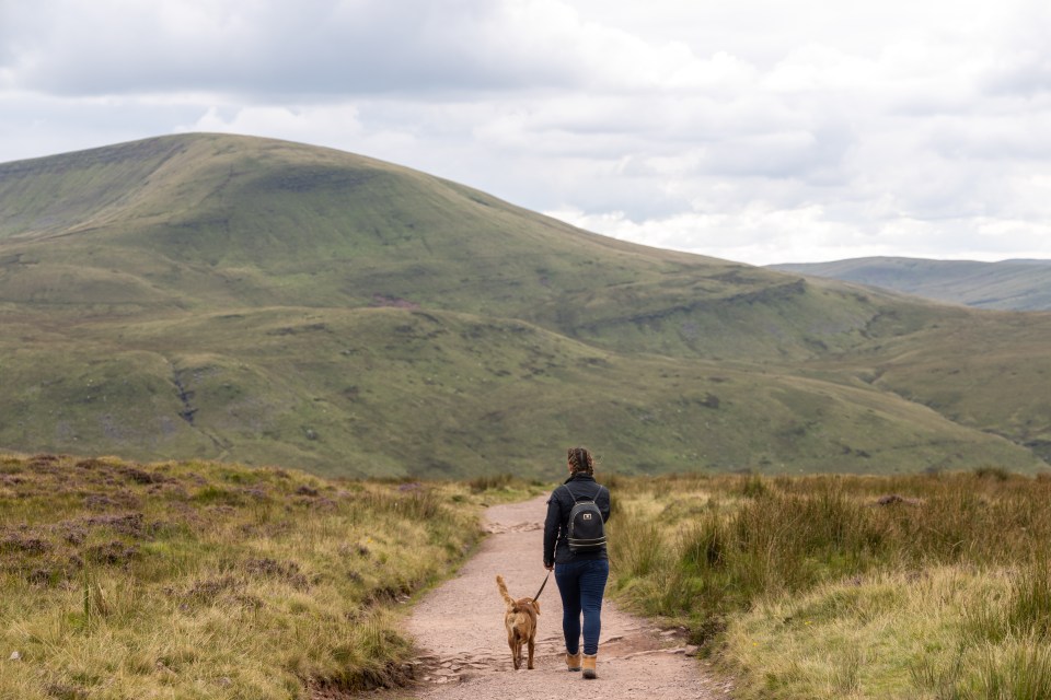 Lizzie enjoys going for long walks in the countryside at weekends