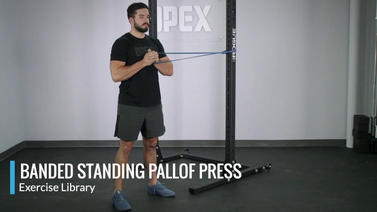 Banded Standing Pallof Press - OPEX Exercise Library - YouTube